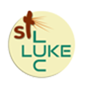 st luke church